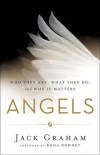Angels - Who They Are, What They Do, and Why It Matters
